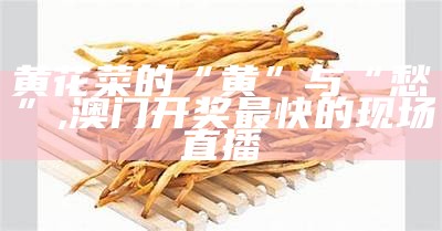 黄花菜的“黄”与“愁”, 澳门开奖最快的现场直播