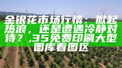 金银花种植技术与管理，让金银花开满园, 澳门澳门期期中