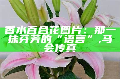 香水百合花图片：那一抹芬芳的“语言”, 马会传真