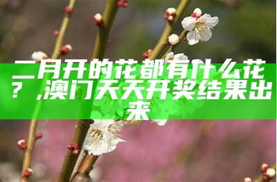 二月开的花都有什么花？, 澳门天天开奖结果出来