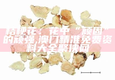 桔梗花：花中“顽固”的顽强, 澳门精准免费资料大全聚侠网