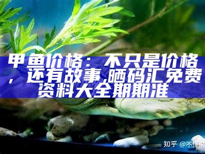 甲鱼价格：不只是价格，还有故事, 全网最精准澳门资料