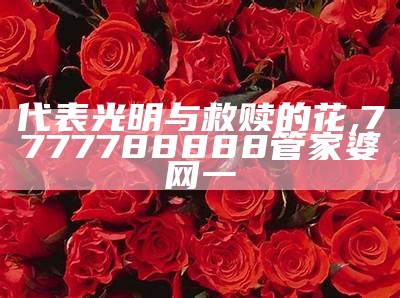 代表光明与救赎的花, 7777788888管家婆网一