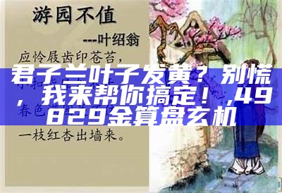 君子兰叶子发黄？别慌，我来帮你搞定！, 49829金算盘玄机