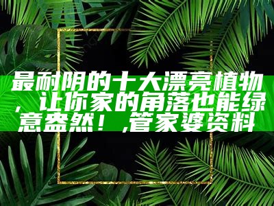 最耐阴的十大漂亮植物，让你家的角落也能绿意盎然！, 管家婆资料