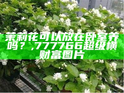 茉莉花可以放在卧室养吗？, 777766超级横财富图片