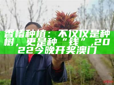 香椿种植：不仅仅是种树，更是种“钱”, 784123摇钱树三期必出