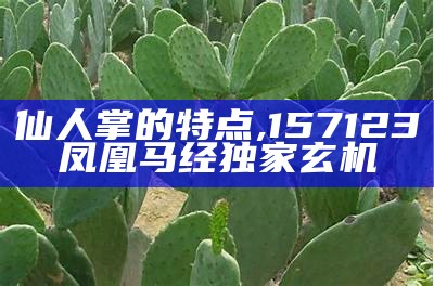 仙人掌的特点, 157123凤凰马经独家玄机