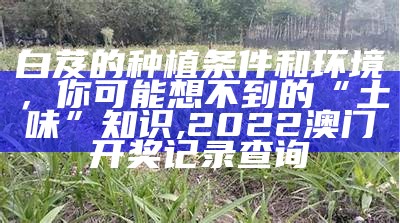 白芨种植：从挖土到收获，这些事儿你知道吗？, 澳客彩票网