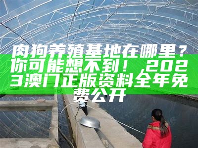 养殖基地：那些你没见过的“趣味”, 金光佛3163636