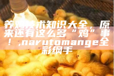 小山鸡饲养全攻略：从入门到精通的养护指南, 澳门天天彩历史开奖记录