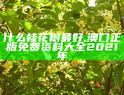 什么桂花树最好, 澳门正版免费资料大全2021年