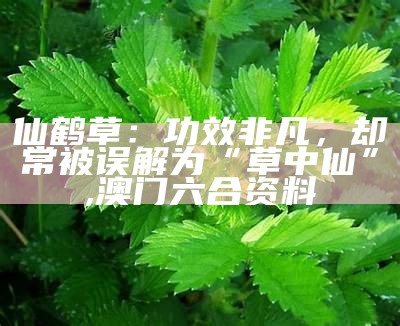 仙鹤草：功效非凡，却常被误解为“草中仙”, 澳门六合资料