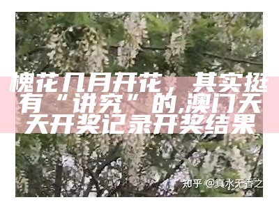 槐花几月开花，其实挺有“讲究”的, 澳门惠泽659959开奖结果