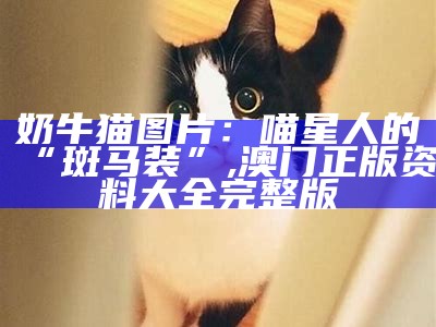 奶牛猫图片：喵星人的“斑马装”, 香港二四六免费资料网站