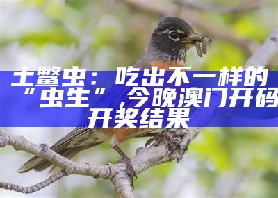 土鳖虫：吃出不一样的“虫生”, 今晚澳门开码开奖结果