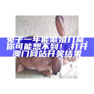 养兔子的十大禁忌, 香港最准内部资料新闻