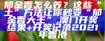 郁金香怎么养？这些“土”方法让你秒变“郁金香大王”, 澳门三码中特最网