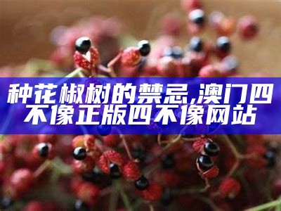 种花椒树的禁忌, 澳门四不像正版四不像网站