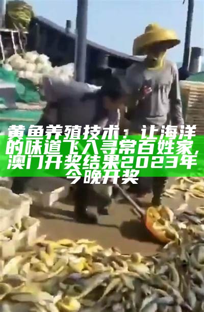 小黄花鱼价格：从平民到贵族，一场“鱼”生的逆袭, 48111横财富网中特中