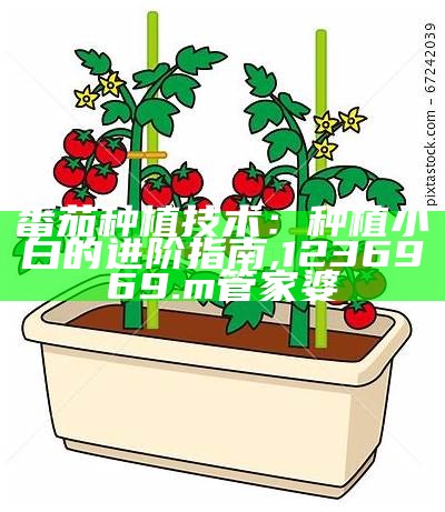 番茄种植技术：种植小白的进阶指南, 1236969.m管家婆