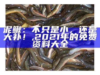 2025年1月11日 第42页