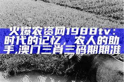 火爆农资网1988tv：时代的记忆，农人的助手, 澳门三肖三码期期准