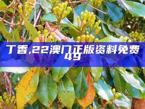 丁香, 22澳门正版资料免费49