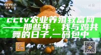 cctv农业养殖致富网——那些年，我与鸡共舞的日子, 一码包中