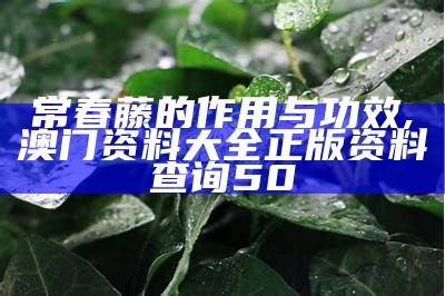 常春藤的作用与功效, 澳门资料大全正版资料查询50