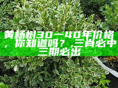 黄杨树30一40年价格，你知道吗？, 六开彩开奖结果场