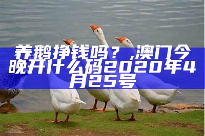 为什么养鹅可以改善风水？, 2023香港正版资料免费大全2023年