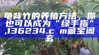 云中漫步者 第8页