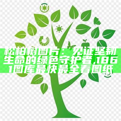 松柏树图片：见证坚韧生命的绿色守护者, 1861图库最快最全看图纸