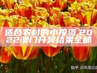 想回农村发展？这几个项目或许能帮到你, 澳门开奖结果查询