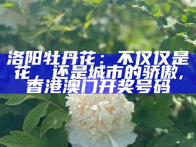 洛阳牡丹花：不仅仅是花，还是城市的骄傲, 香港澳门开奖号码