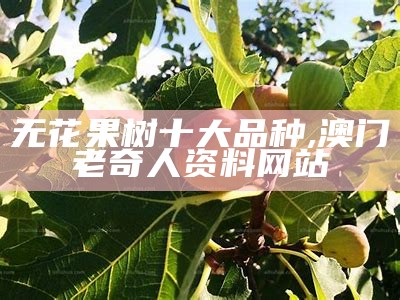 无花果树十大品种, 澳门老奇人资料网站