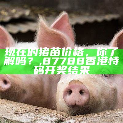 毛猪300斤以上价格毕节, 71049.com