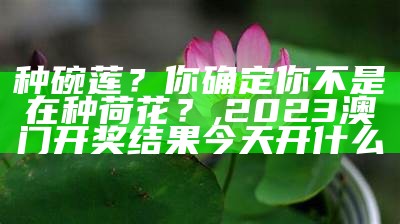 种碗莲？你确定你不是在种荷花？, 2023澳门开奖结果今天开什么