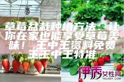 草莓盆栽种植方法：让你在家也能享受草莓美味！, 王中王资料免费王王中王特准