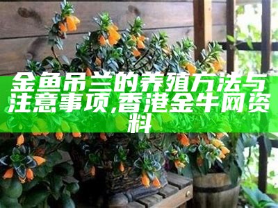 金鱼吊兰的养殖方法与注意事项, 香港金牛网资料