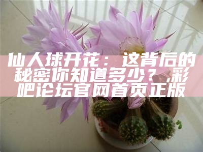 仙人球开花：这背后的秘密你知道多少？, 彩吧论坛官网首页正版