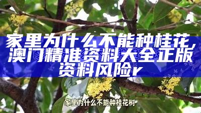 家里为什么不能种桂花, 澳门精准资料大全正版资料风险r