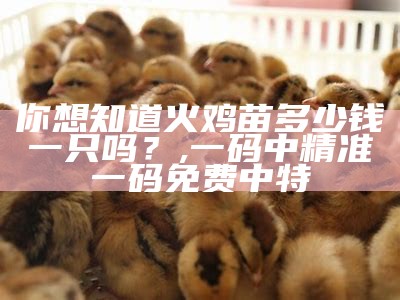 你想知道火鸡苗多少钱一只吗？, 一码中精准一码免费中特