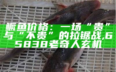 鳜鱼价格：一场“贵”与“不贵”的拉锯战, 65838老奇人玄机