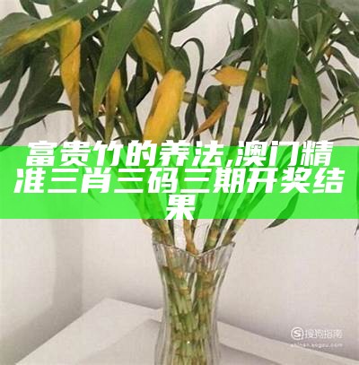 云中仙 第6页