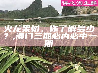 火龙果树，你了解多少？, 澳门三期必内必中一期