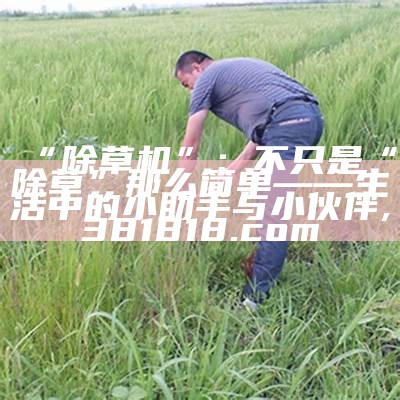 “除草机”：不只是“除草”那么简单——生活中的小助手与小伙伴, 381818.com