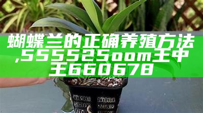 蝴蝶兰的正确养殖方法, 555525oom王中王660678