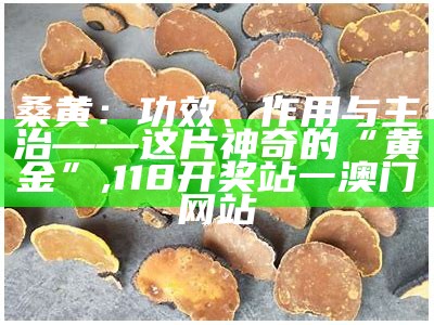 桑黄：功效、作用与主治——这片神奇的“黄金”, 118开奖站一澳门网站